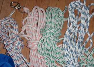 Neue Schoten